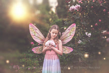 Load image into Gallery viewer, 20 Png FAIRY WING Overlays Set 27
