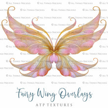 Load image into Gallery viewer, 30 Png FAIRY WING Overlays - VARIETY BUNDLE 8

