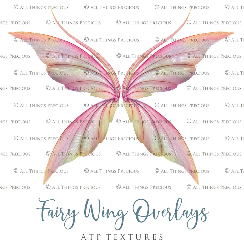 Digital Fairy Wings Overlays clipart. Png transparent see through files for photoshop. Butterfly Angel, Color, Print Photography editing. High resolution, 300dpi. Printable, Photography Graphic design assets, add on stock resources. Magical Scrapbooking design. Faery Photographer edit. Colorful Big Bundle. ATP Textures