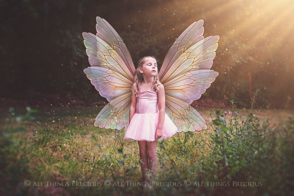 Digital Faery Wing Overlays. Png overlays for photoshop. Photography editing. High resolution, 300dpi fairy wings. Overlays for photography. Digital stock and resources. Graphic design. Fairy Photos. Colourful Fairy wings. Faerie Wings. ATP Textures. Overlays. Actions, Textures, Photo Resources, Photoshop. 