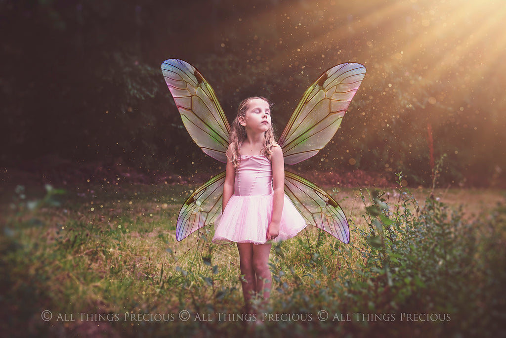 Digital Fairy Wings Overlays clipart. Png transparent see through files for photoshop. Butterfly Angel, Color, Print Photography editing. High resolution, 300dpi. Printable, Photography Graphic design assets, add on stock resources. Magical Scrapbooking design. Faery Photographer edit. Colorful Big Bundle. ATP Textures