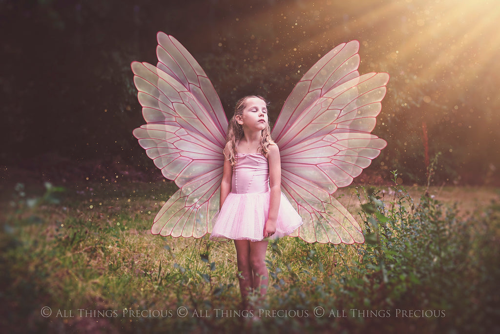 Digital Fairy Wings Overlays clipart. Png transparent see through files for photoshop. Butterfly Angel, Color, Print Photography editing. High resolution, 300dpi. Printable, Photography Graphic design assets, add on stock resources. Magical Scrapbooking design. Faery Photographer edit. Colorful Big Bundle. ATP Textures