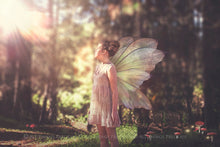 Load image into Gallery viewer, 20 Png FAIRY WING Overlays Set 9

