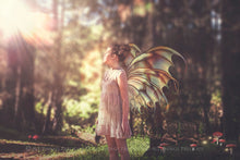 Load image into Gallery viewer, 20 Png FAIRY WING Overlays Set 9
