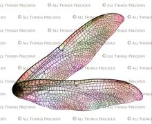 Load image into Gallery viewer, Digital Faery Wing Overlays! Fairy wings, Png overlays for photoshop. Photography editing. High resolution, 300dpi fairy wings. Overlays for photography. Digital stock and resources. Graphic design. Fairy Photos. Colourful Fairy wings. Faerie Wings.
