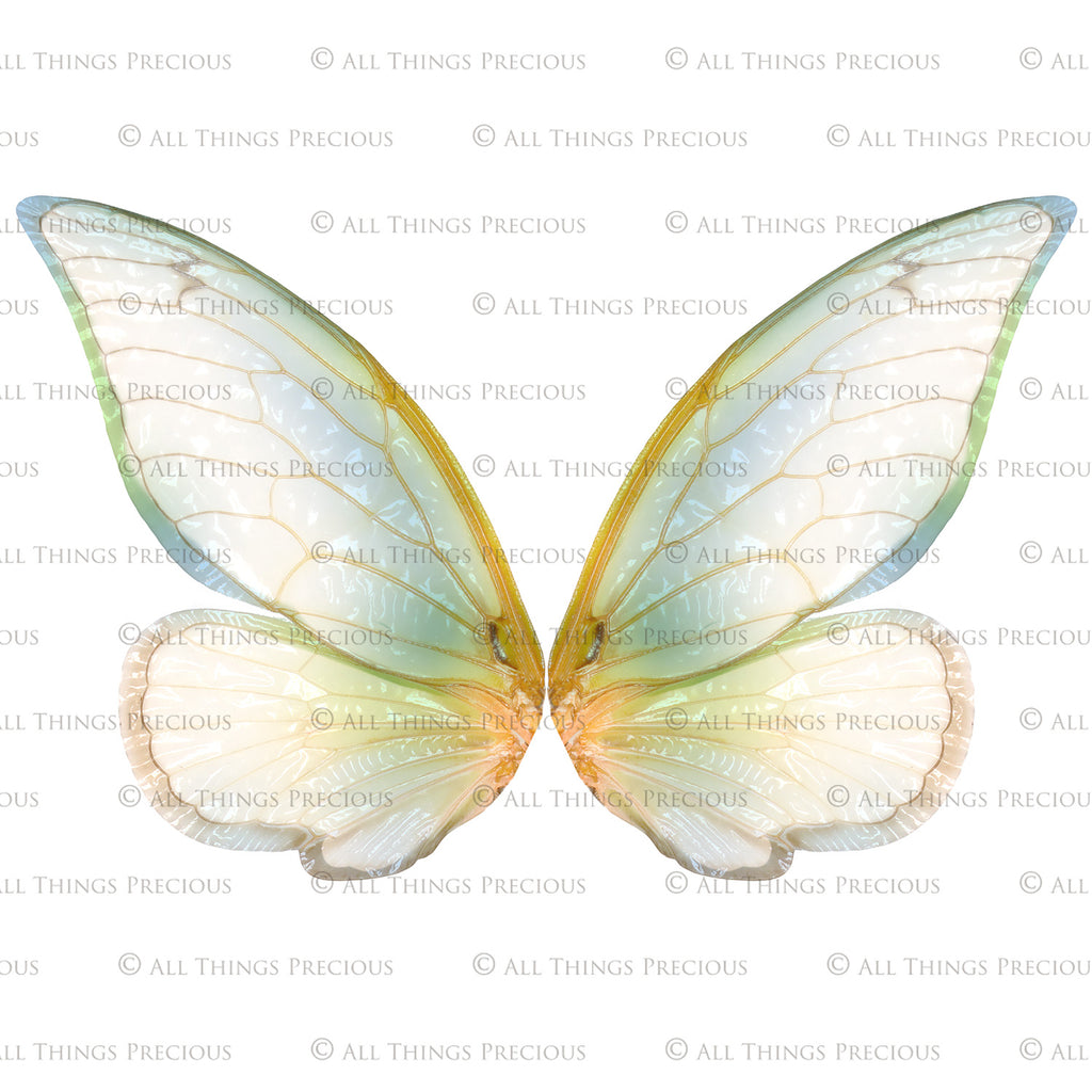 Digital Faery Wing Overlays. Png overlays for photoshop. Photography editing. High resolution, 300dpi fairy wings. Overlays for photography. Digital stock and resources. Graphic design. Fairy Photos. Colourful Fairy wings. Faerie Wings. ATP Textures. Overlays. Actions, Textures, Photo Resources, Photoshop. 