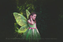 Load image into Gallery viewer, Digital Faery Wing Overlays. Png overlays for photoshop. Photography editing. High resolution, 300dpi fairy wings. Overlays for photography. Digital stock and resources. Graphic design. Fairy Photos. Colourful Fairy wings. Faerie Wings. ATP Textures. Overlays. Actions, Textures, Photo Resources, Photoshop. 
