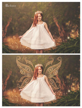Load image into Gallery viewer, 25 Png FILIGREE FAIRY WING Overlays - Set 3
