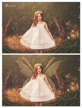 Load image into Gallery viewer, 25 Png FILIGREE FAIRY WING Overlays - Set 3
