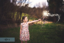Load image into Gallery viewer, FAIRY WAND AND SPARKLES Digital Overlays
