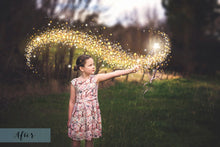 Load image into Gallery viewer, FAIRY WAND AND SPARKLES Digital Overlays
