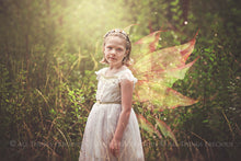 Load image into Gallery viewer, 20 Png FAIRY WING Overlays Set 26
