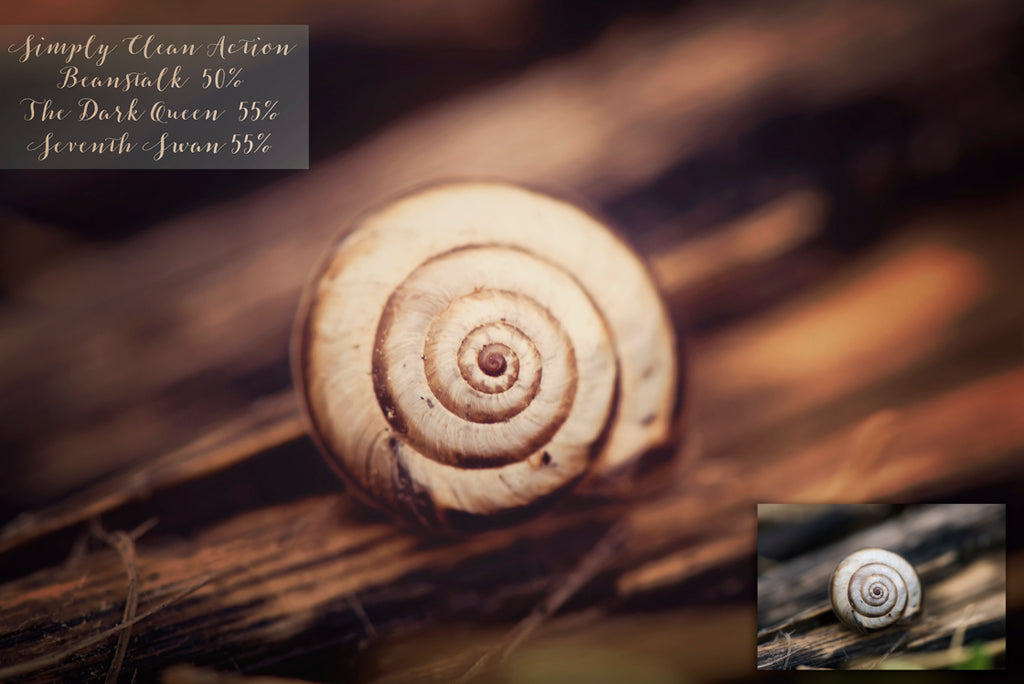 ATP Textures