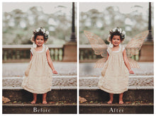 Load image into Gallery viewer, 25 Png FILIGREE FAIRY WING Overlays - Set 6
