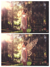Load image into Gallery viewer, 25 Png FILIGREE FAIRY WING Overlays - Set 11
