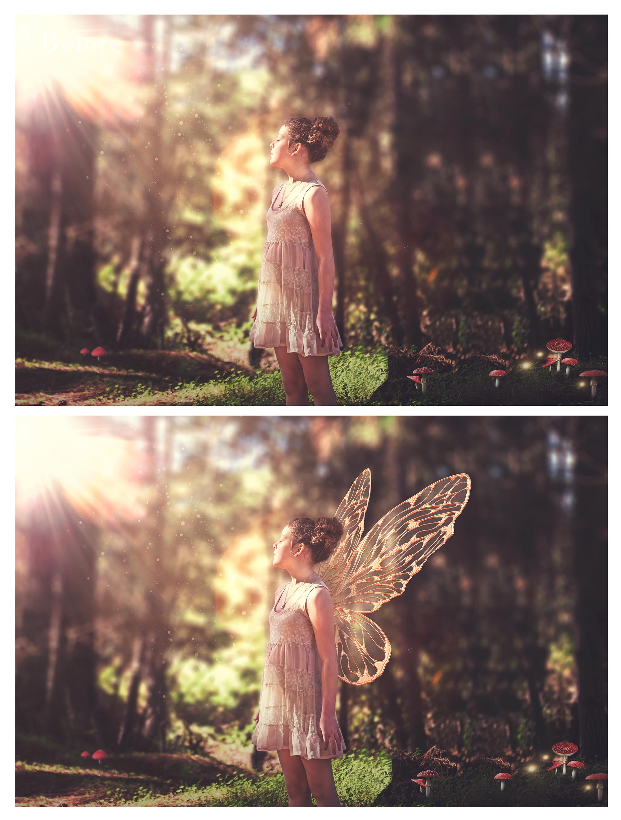 SVG FAIRY WINGS for CRICUT - Set 64