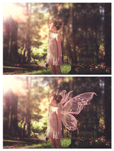 Load image into Gallery viewer, 25 Png FILIGREE FAIRY WING Overlays - Set 11
