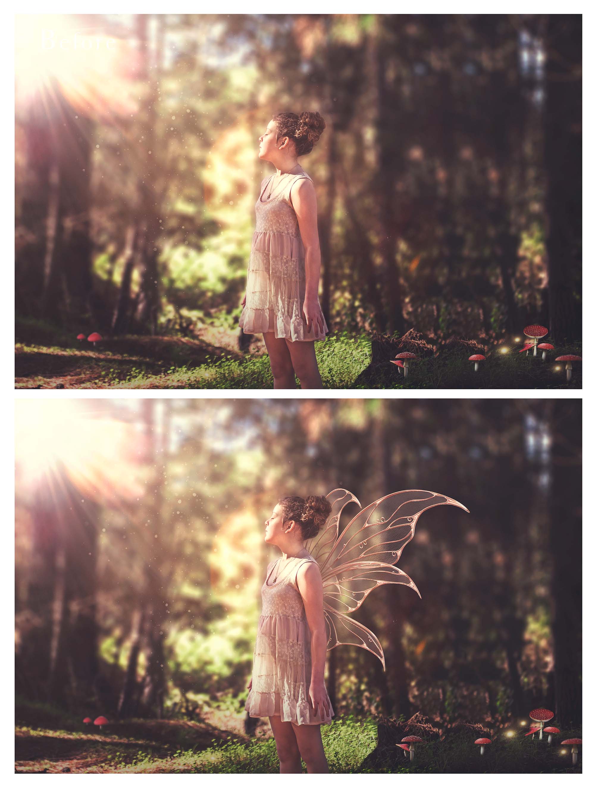 SVG & PNG Fairy/Angel Wing files for Cricut, Silhouette Cameo and other Cutting Machines. Create wearable fairy wings, all sizes. Perfect for Halloween Costumes, Fantasy, Cosplay, Photography. Prints, Wedding, Engagement, Baby Shower invitations, Sublimation Printing, Clip Art and more. Cut and assemble. ATP Textures.