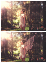 Load image into Gallery viewer, 25 Png FILIGREE FAIRY WING Overlays - Set 11
