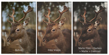 Load image into Gallery viewer, MATTE FILM Mini Set Photoshop Actions
