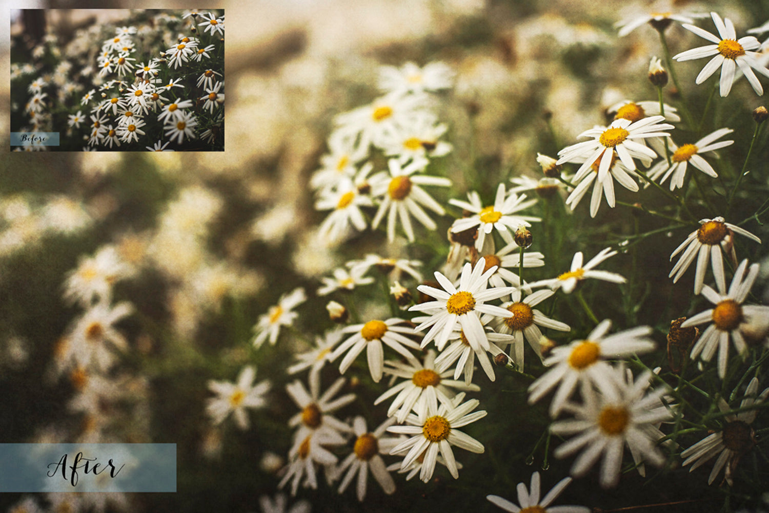 Fine art textures for photographers, digital editing. Photo Overlays. Antique, Vintage, Grunge, Light, Bundle. Textured printable Canvas, Colour, black and white, Bundle. High resolution, 300dpi Graphic Assets for photography, scrapbooking and design. By ATP Textures