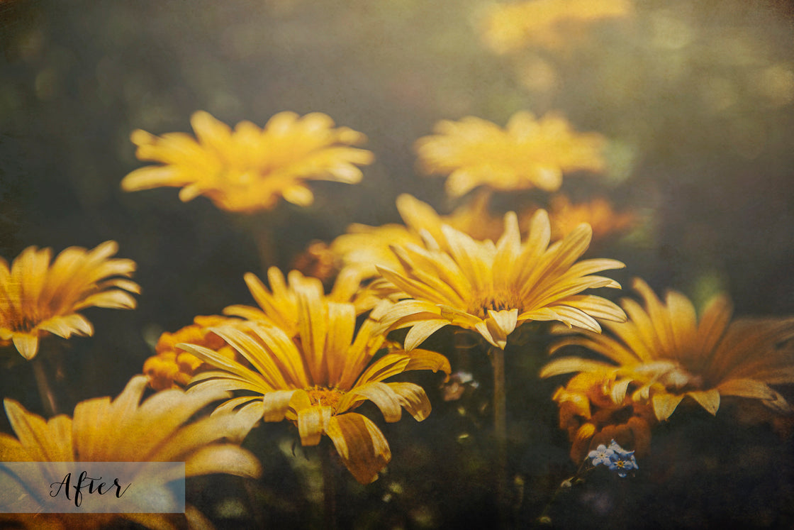 Fine art textures for photographers, digital editing. Photo Overlays. Antique, Vintage, Grunge, Light, Bundle. Textured printable Canvas, Colour, black and white, Bundle. High resolution, 300dpi Graphic Assets for photography, scrapbooking and design. By ATP Textures