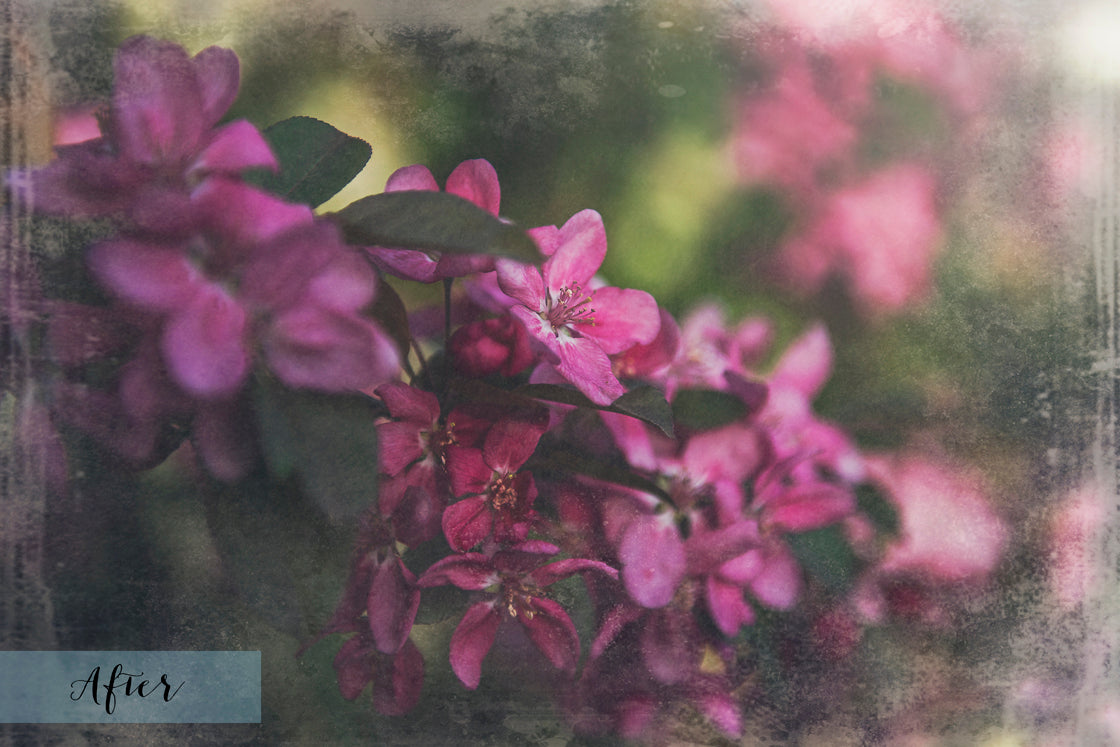 40 High resolution Textures for Photographers, Photoshop, Digital art and Creatives. Digital photography edits, Photoshop. Scratch, Fine Art Antique, Vintage, Grunge, Light, Dark Bundle. Textured printable Canvas, Colour, Monochrome, Bundle. Graphic Assets for photography, digital scrapbooking and design. ATP Textures