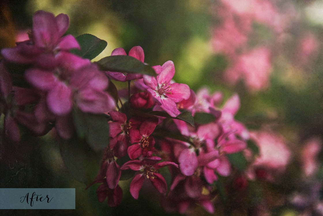 Fine art textures for photographers, digital editing. Photo Overlays. Antique, Vintage, Grunge, Light, Bundle. Textured printable Canvas, Colour, black and white, Bundle. High resolution, 300dpi Graphic Assets for photography, scrapbooking and design. By ATP Textures