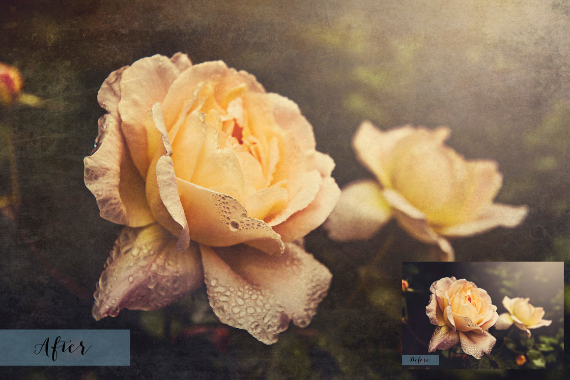 Fine art textures for photographers, digital editing. Photo Overlays. Antique, Vintage, Grunge, Light, Bundle. Textured printable Canvas, Colour, black and white, Bundle. High resolution, 300dpi Graphic Assets for photography, scrapbooking and design. By ATP Textures