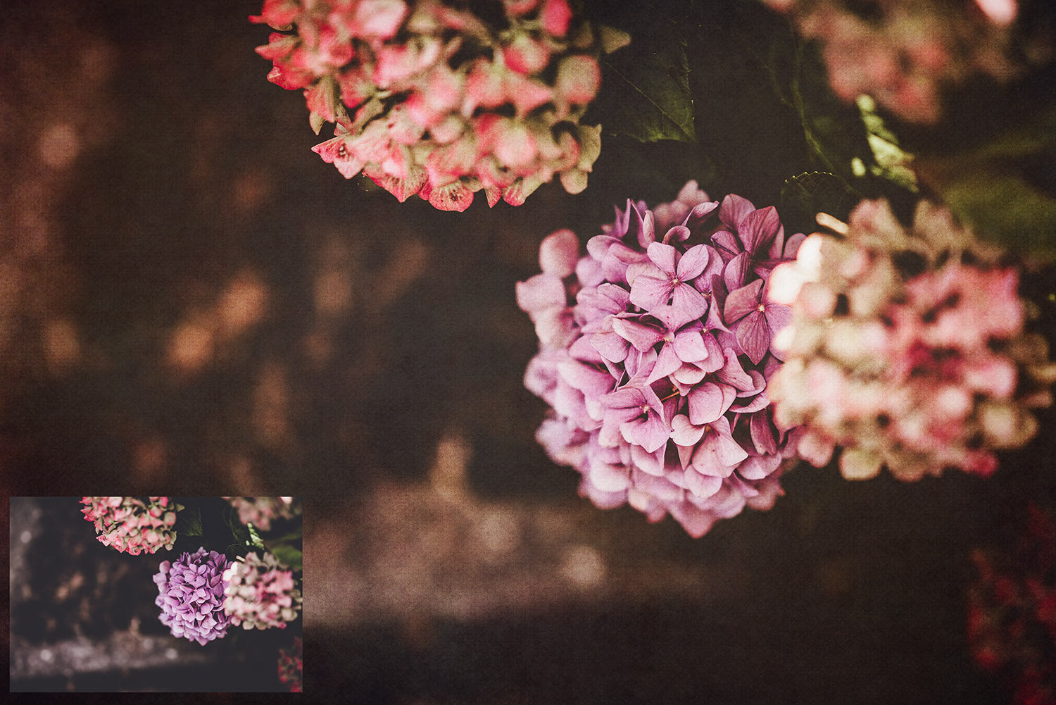 Fine art textures for photographers, digital editing. Photo Overlays. Antique, Vintage, Grunge, Light, Bundle. Textured printable Canvas, Colour, black and white, Bundle. High resolution, 300dpi Graphic Assets for photography, scrapbooking and design. By ATP Textures