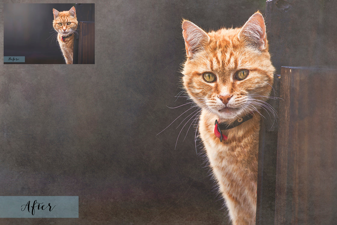 Fine art textures for photographers, digital editing. Photo Overlays. Antique, Vintage, Grunge, Light, Bundle. Textured printable Canvas, Colour, black and white, Bundle. High resolution, 300dpi Graphic Assets for photography, scrapbooking and design. By ATP Textures