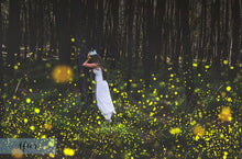 Load image into Gallery viewer, FIREFLIES Digital Overlays
