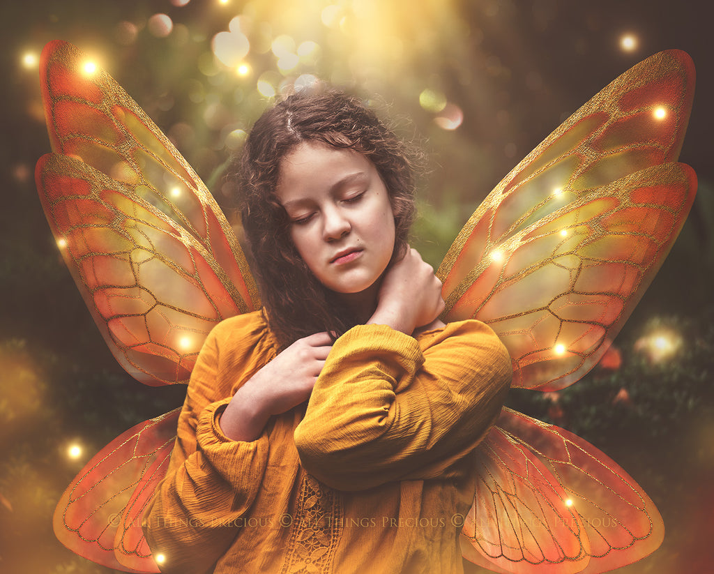 Digital Faery Wing Overlays! Fairy wings, Png overlays for photoshop. Photography editing. High resolution, 300dpi fairy wings. Overlays for photography. Digital stock and resources. Graphic design. Fairy Photos. Colourful Fairy wings. Faerie Wings.