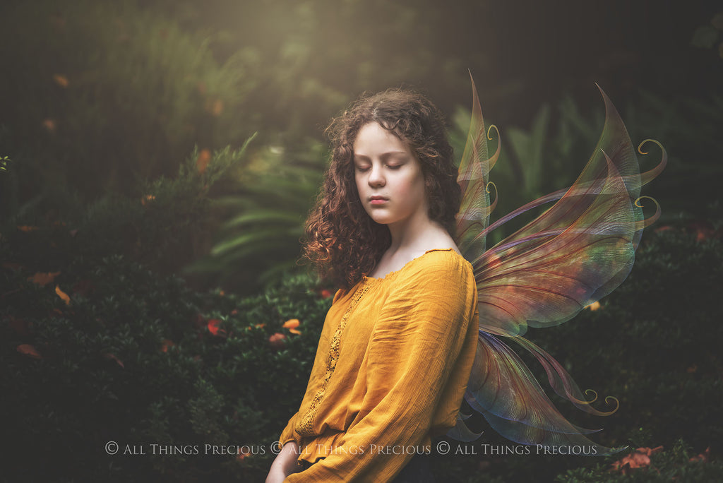 Digital Faery Wing Overlays! Fairy wings, Png overlays for photoshop. Photography editing. High resolution, 300dpi fairy wings. Overlays for photography. Digital stock and resources. Graphic design. Fairy Photos. Colourful Fairy wings. Faerie Wings.