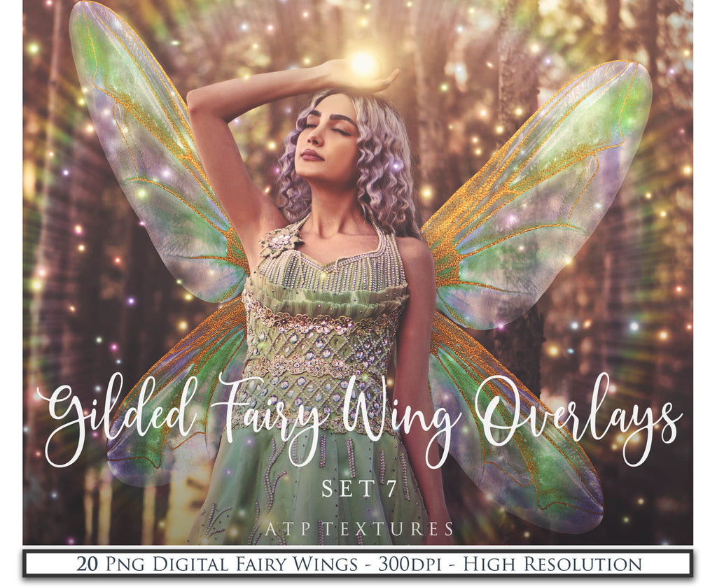 Digital Overlays for Photographers, Graphic design, scrapbooking and creatives.. Fairy Wings. High resolution, fine art digital assets for creating fantasy art.  Png overlay with transparent background. Magical Edit. Png Photo editing art assets.