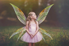 Load image into Gallery viewer, PNG Animated FAERY WINGS - Set 1
