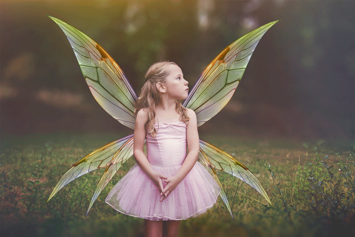 PNG Animated FAERY WINGS - Set 1