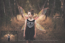 Load image into Gallery viewer, 20 Png Digital PIXIE Fairy WING Overlays Set 2
