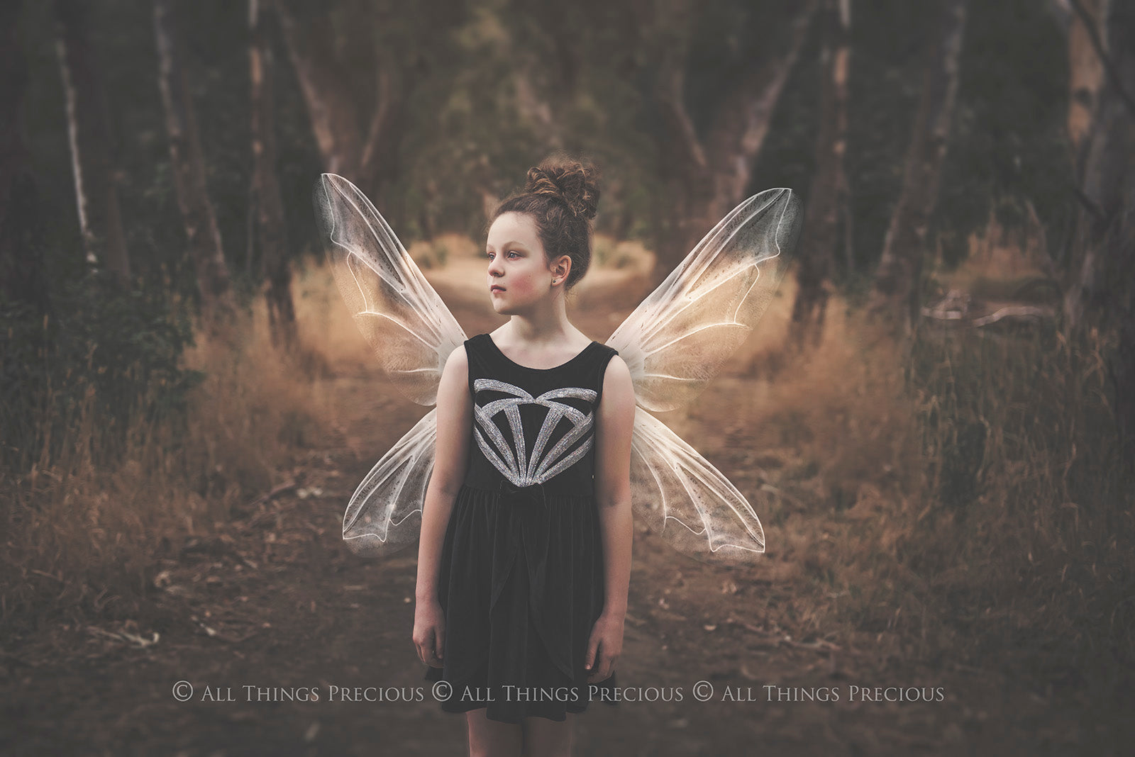 Digital Faery Wing Overlays. Png overlays for photoshop. Photography editing. High resolution, 300dpi fairy wings. Overlays for photography. Digital stock and resources. Graphic design. Fairy Photos. Colourful Fairy wings. Faerie Wings. ATP Textures. Overlays. Actions, Textures, Photo Resources, Photoshop. 