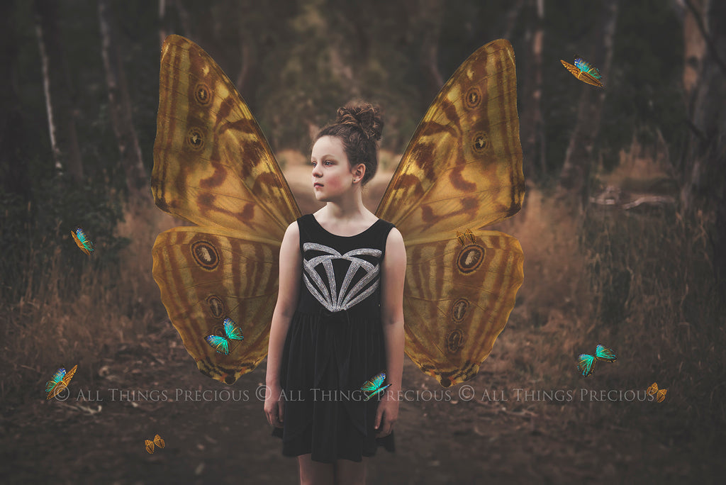 Butterfly fairy wings, Png overlays for photoshop. Photography editing. High resolution, 300dpi. Overlay for photography. Digital stock and resources. Graphic design. Wings for Photos. Colourful Faerie Wings. Butterflies. Overlays for Edits.
