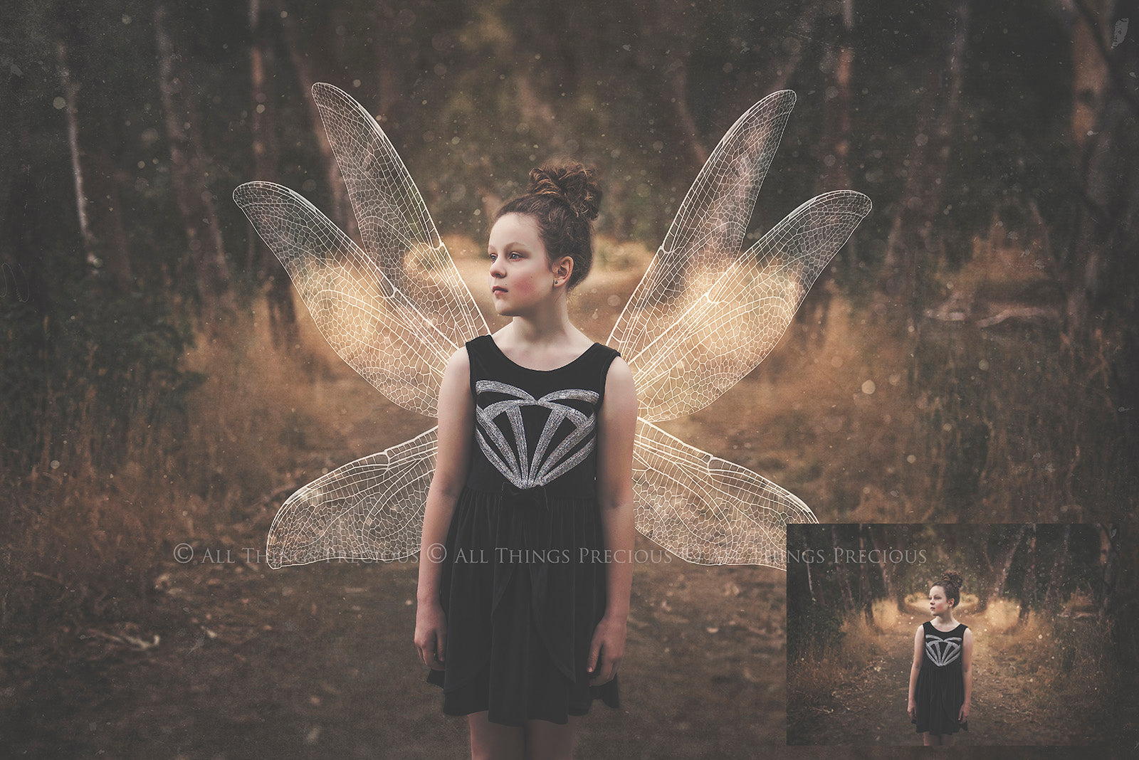 Digital Faery Wing Overlays! Fairy wings, Png overlays for photoshop. Photography editing. High resolution, 300dpi fairy wings. Overlays for photography. Digital stock and resources. Graphic design. Fairy Photos. Colourful Fairy wings. Faerie Wings.