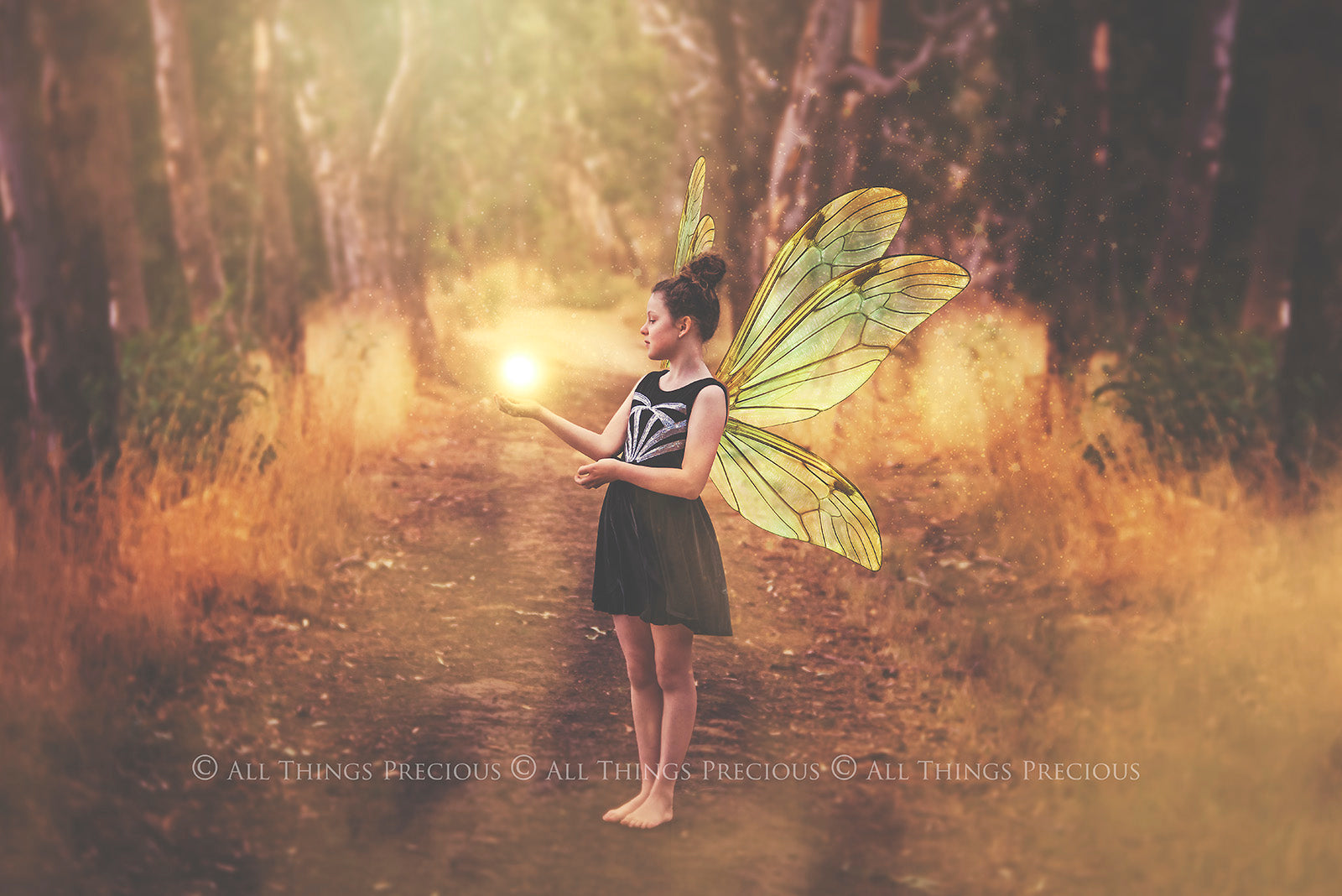 Digital Faery Wing Overlays. Png overlays for photoshop. Photography editing. High resolution, 300dpi fairy wings. Overlays for photography. Digital stock and resources. Graphic design. Fairy Photos. Colourful Fairy wings. Faerie Wings. ATP Textures. Overlays. Actions, Textures, Photo Resources, Photoshop. 