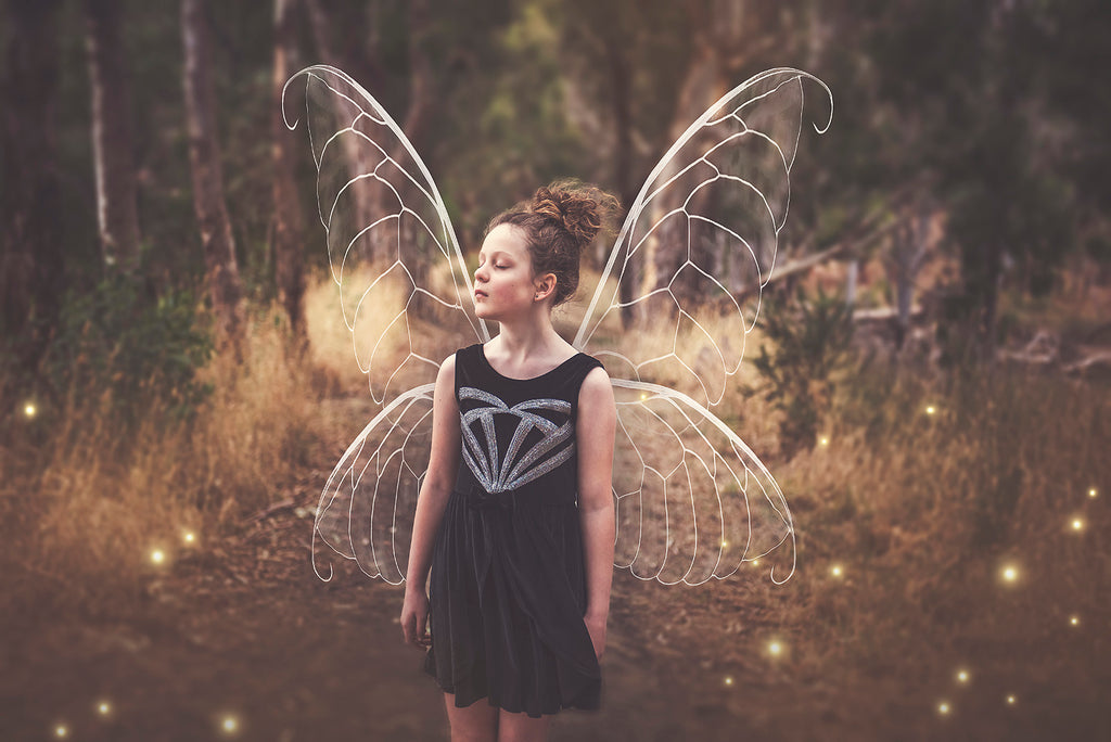 Digital Faery Wing Overlays! Fairy wings, Png overlays for photoshop. Photography editing. High resolution, 300dpi fairy wings. Overlays for photography. Digital stock and resources. Graphic design. Fairy Photos. Colourful Fairy wings. Faerie Wings.