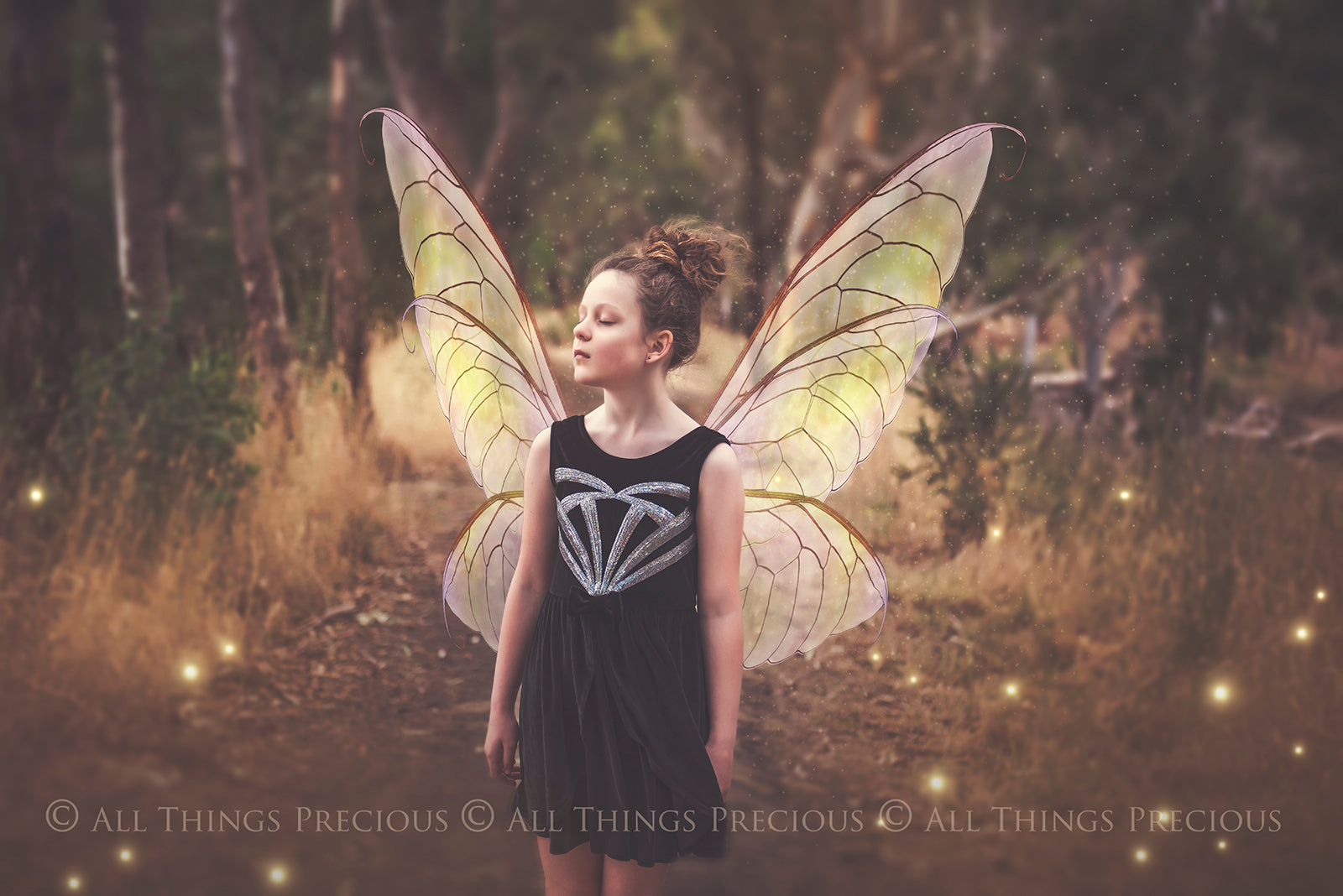 Digital Faery Wing Overlays. Png overlays for photoshop. Photography editing. High resolution, 300dpi fairy wings. Overlays for photography. Digital stock and resources. Graphic design. Fairy Photos. Colourful Fairy wings. Faerie Wings. ATP Textures. Overlays. Actions, Textures, Photo Resources, Photoshop. 
