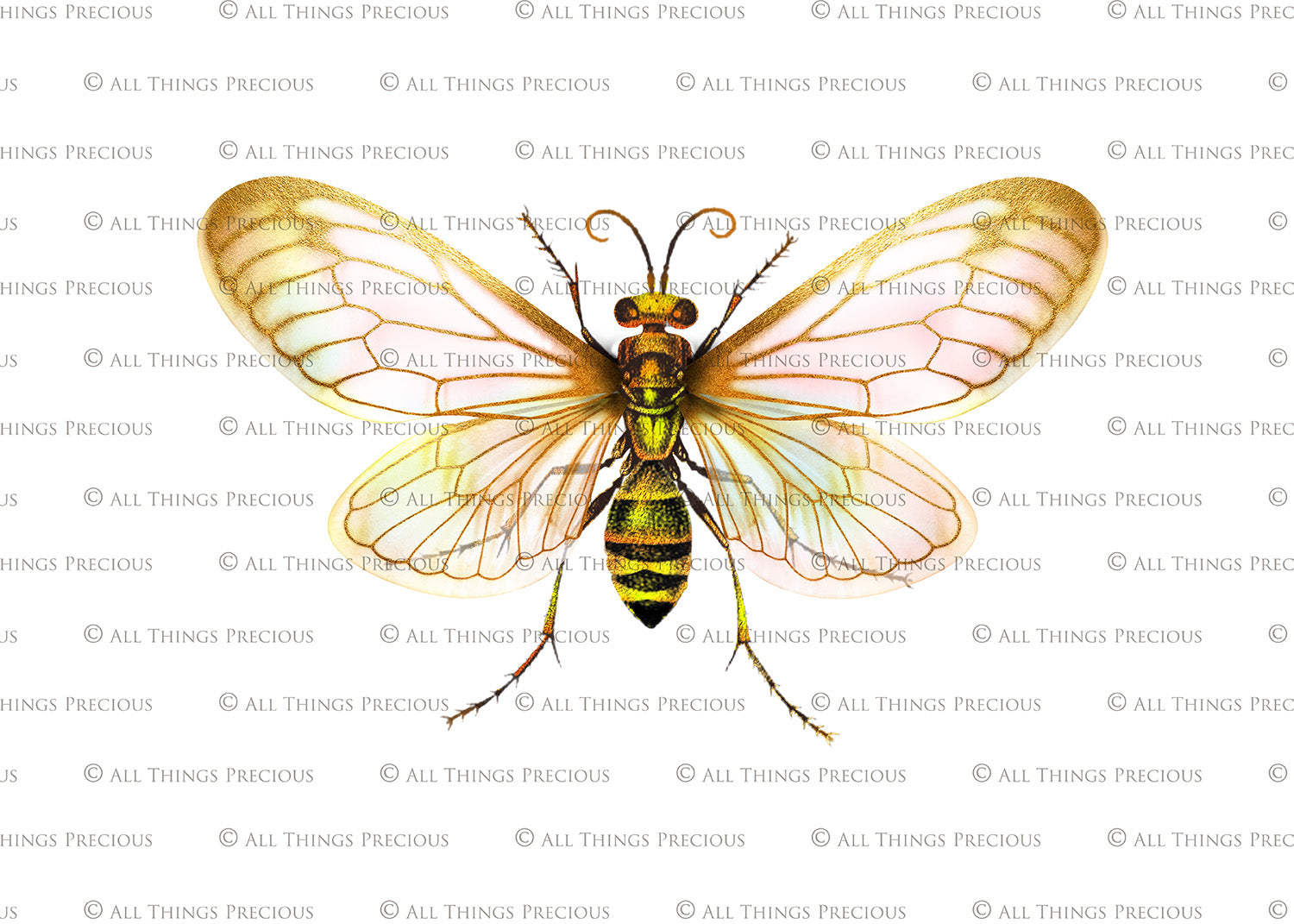 Png overlays for photography and digital art. Firefly overlays, glow overlays, photo overlays, png digital overlays, high resolution overlays for photographers by ATP textures.