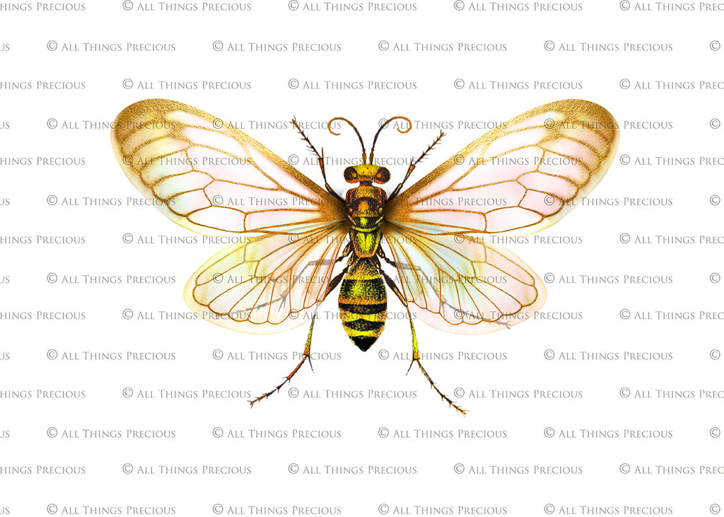 Png overlays for photography and digital art. Firefly overlays, glow overlays, photo overlays, png digital overlays, high resolution overlays for photographers by ATP textures.