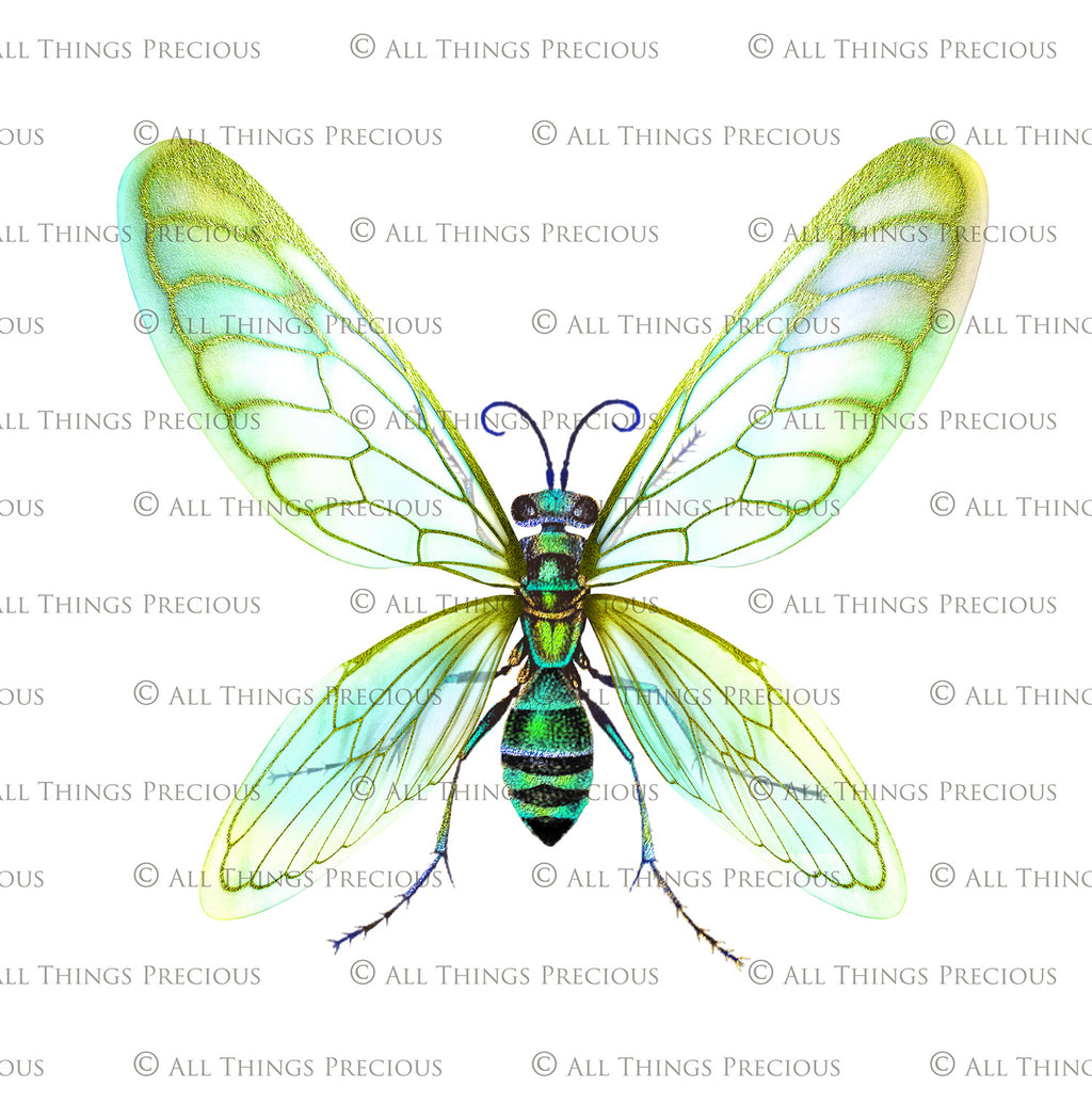 Png overlays for photography and digital art. Firefly overlays, glow overlays, photo overlays, png digital overlays, high resolution overlays for photographers by ATP textures.