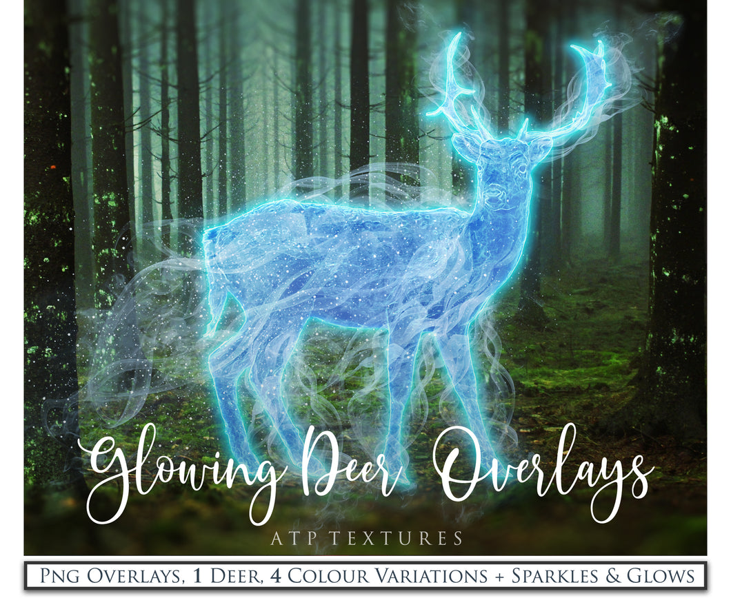 GLOWING DEER Digital Overlays