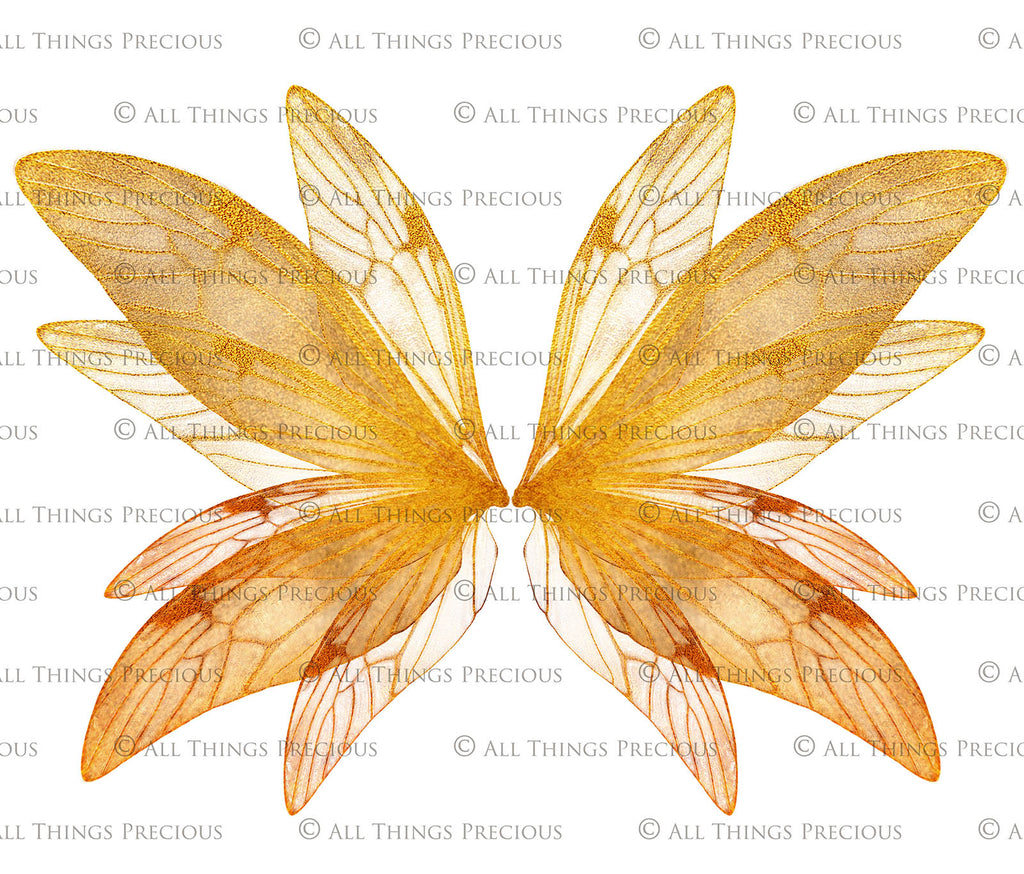 Digital Faery Wing Overlays! Fairy wings, Png overlays for photoshop. Photography editing. High resolution, 300dpi fairy wings. Overlays for photography. Digital stock and resources. Graphic design. Fairy Photos. Colourful Fairy wings. Faerie Wings.