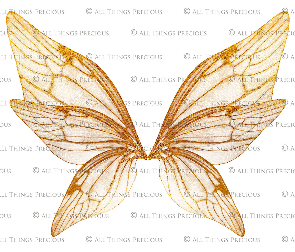 Digital Faery Wing Overlays! Fairy wings, Png overlays for photoshop. Photography editing. High resolution, 300dpi fairy wings. Overlays for photography. Digital stock and resources. Graphic design. Fairy Photos. Colourful Fairy wings. Faerie Wings.
